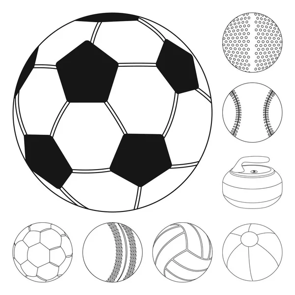 Diseño vectorial del deporte y el símbolo de la bola. Conjunto de deporte y el icono del vector deportivo para la acción . — Vector de stock
