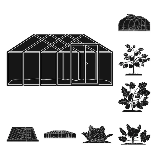 Oggetto isolato di serra e segno vegetale. Serie di serra e giardino stock vettoriale illustrazione . — Vettoriale Stock