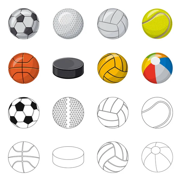 Objeto isolado de esporte e símbolo de bola. Conjunto de esporte e símbolo de estoque atlético para web . — Vetor de Stock