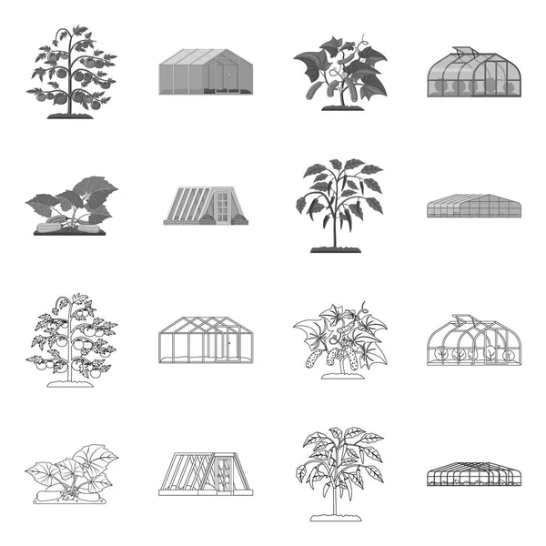 Projekt wektor logo cieplarnianych i roślin. Kolekcja cieplarnianych i ogród Stockowa ilustracja wektorowa. — Wektor stockowy