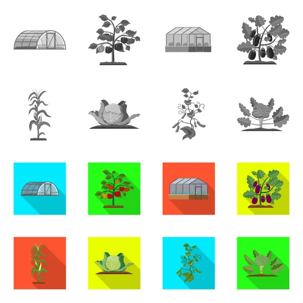 Conception vectorielle de la serre et le symbole de la plante. Collection d'illustrations vectorielles de serre et de jardin . — Image vectorielle