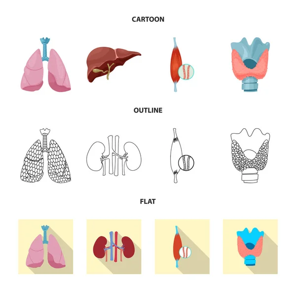 Векторная иллюстрация тела и логотипа человека. Комплект корпусов и медицинских векторных значков для склада . — стоковый вектор
