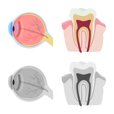 Vücut ve insan simge vektör çizimi. Vücut ve web için tıbbi hisse senedi simgesi toplama.