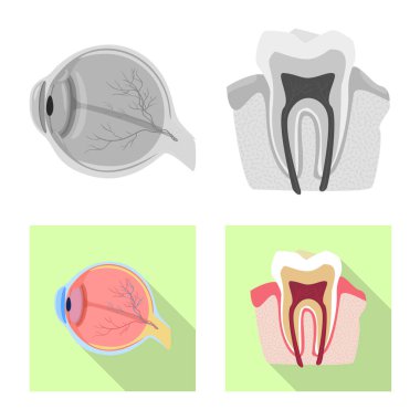 Vücut ve insan simge vektör tasarımı. Vücut ve hisse senedi için tıbbi vektör simge kümesi.
