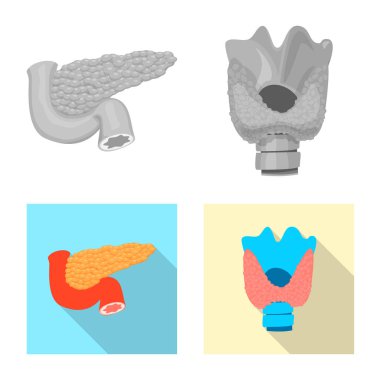 Vücut ve insan işareti vektör çizimi. Vücut ve web için tıbbi hisse senedi simgesi toplama.