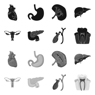 Vücut ve insan simge vektör çizimi. Vücut ve web için tıbbi hisse senedi simgesi.