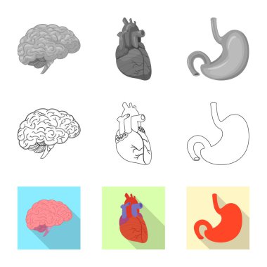 Vücut ve insan simge vektör çizimi. Vücut ve tıbbi hisse senedi vektör çizim koleksiyonu.