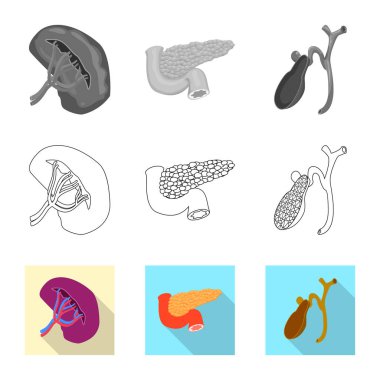 Vücut ve insan sembolü yalıtılmış nesne. Vücut ve web için tıbbi hisse senedi simgesi.