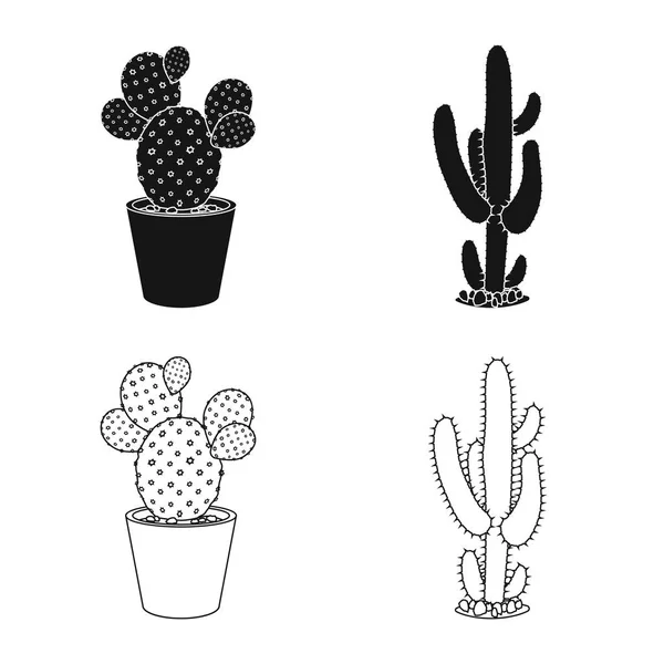 Objeto aislado de cactus y signo de maceta. Conjunto de cactus y cactus símbolo de stock para web . — Archivo Imágenes Vectoriales