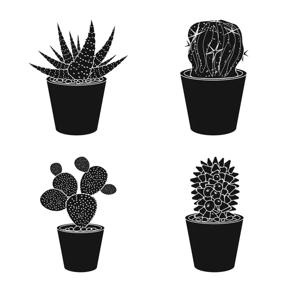 Изолированный объект кактуса и символ горшка. Коллекция векторных иллюстраций кактусов и кактусов . — стоковый вектор