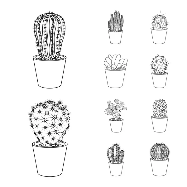 Diseño vectorial de cactus y pote símbolo. Conjunto de cactus y cactus vector icono para stock . — Archivo Imágenes Vectoriales