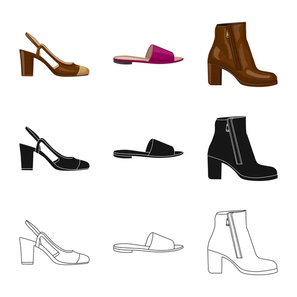 Vector illustration of footwear and woman icon. Set of footwear and foot vector icon for stock. — Stock Vector