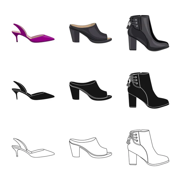 Conception vectorielle de chaussures et signe de femme. Ensemble de chaussures et icône de vecteur de pied pour stock . — Image vectorielle