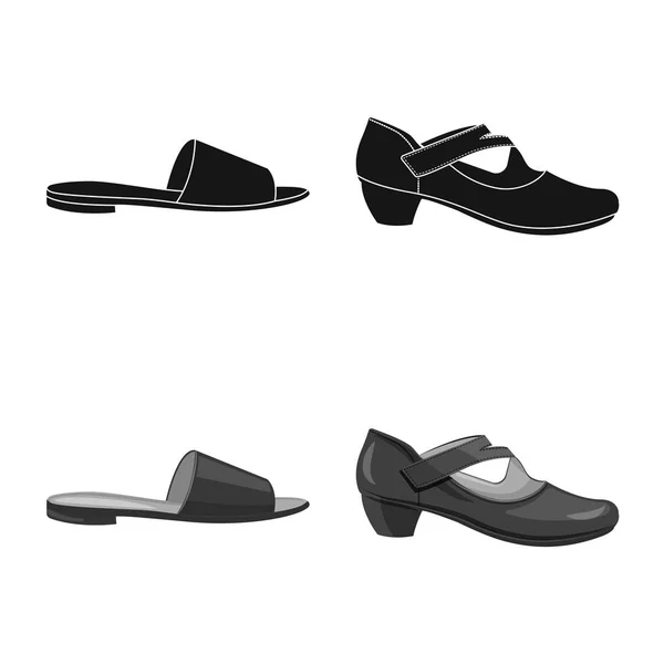 Design vettoriale di calzature e icona donna. Serie di calzature e piedi stock illustrazione vettoriale . — Vettoriale Stock