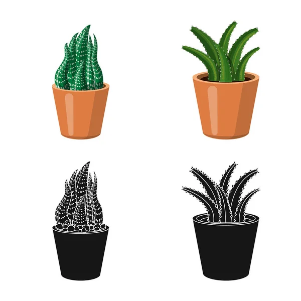 Conception vectorielle de cactus et signe de pot. Collection de cactus et de cactus symbole stock pour le web . — Image vectorielle