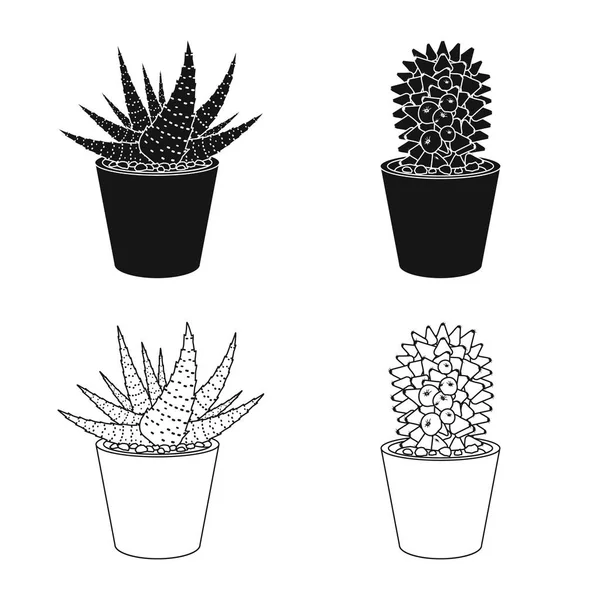 Illustration vectorielle du cactus et du logo du pot. Collection de cactus et de cactus illustration vectorielle de stock . — Image vectorielle