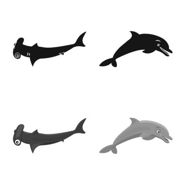 Deniz ve hayvan simge vektör tasarımı. Deniz ve deniz hisse senedi vektör çizim.