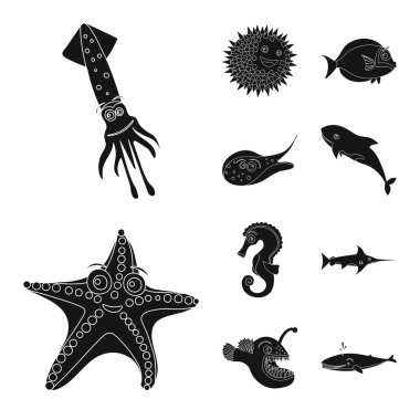 Deniz ve hayvan logo vektör Illustration. Deniz ve deniz hisse senedi simgesi için web topluluğu.