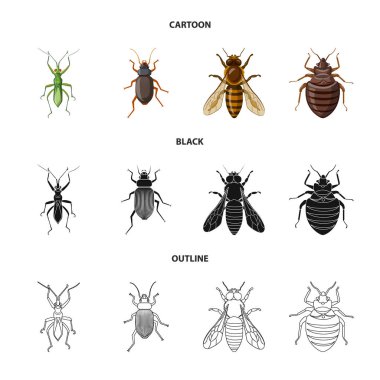 Böcek ve sinek sembolü yalıtılmış nesne. Böcek ve öğe hisse senedi vektör çizim seti.