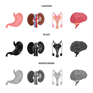 Vücut ve insan simge vektör Illustration. Vücut ve tıbbi hisse senedi vektör çizim.