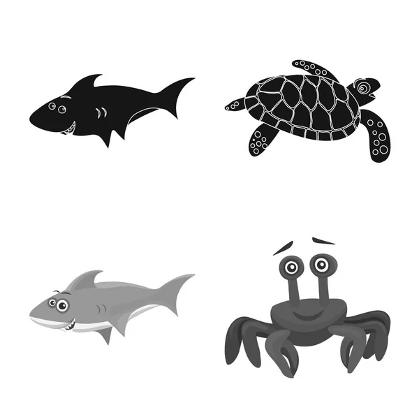 Vector design of sea and animal icon. Set of sea and marine vector icon for stock. — Stock Vector
