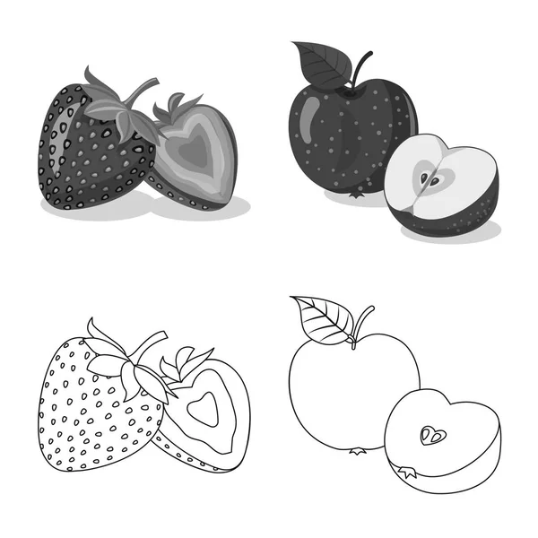 Design vettoriale del logo vegetale e della frutta. Raccolta di illustrazione vettoriale di brodo vegetale e vegetariano . — Vettoriale Stock