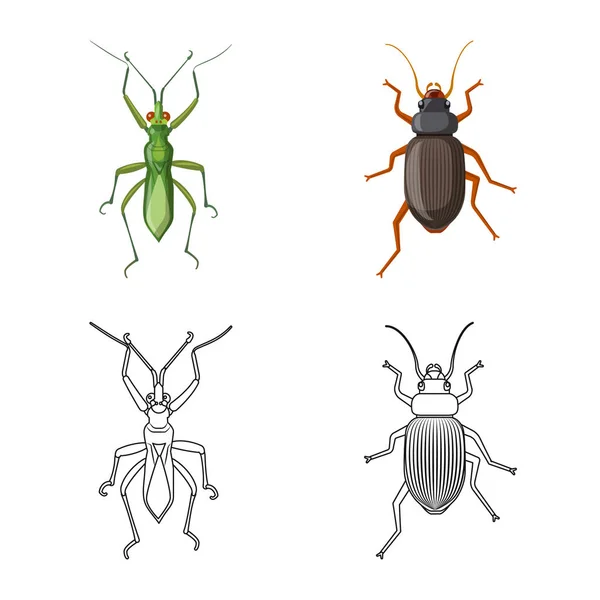 Векторная иллюстрация значка насекомого и мухи. Набор символов запаса насекомых и элементов для паутины . — стоковый вектор