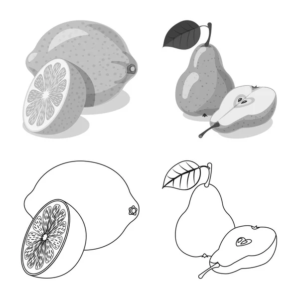 Векторная иллюстрация символа овощей и фруктов. Набор овощных и вегетарианских фондовых символов для паутины . — стоковый вектор