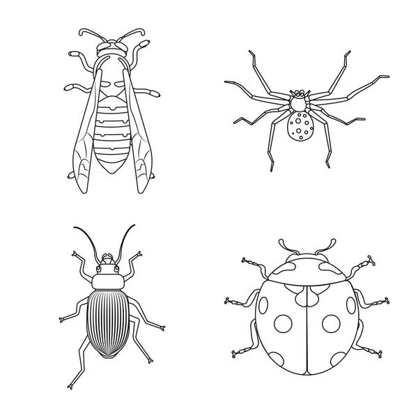 곤충 및 비행 상징의 벡터 디자인입니다. 곤충 및 요소 주식 벡터 일러스트 레이 션의 컬렉션. — 스톡 벡터
