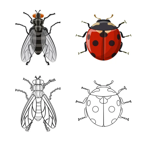 Geïsoleerde object van insecten en vliegen teken. Set insect en element voorraad vectorillustratie. — Stockvector