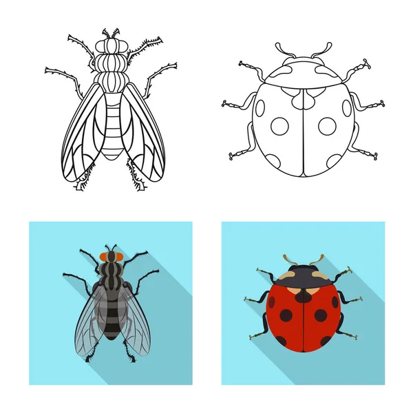 Vektorillustration von Insekten- und Fliegensymbol. Set von Insekten- und Elementlagersymbol für das Netz. — Stockvektor