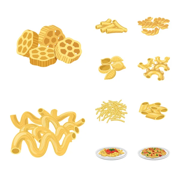 Isolated object of pasta and carbohydrate sign. Set of pasta and macaroni vector icon for stock. — Stock Vector
