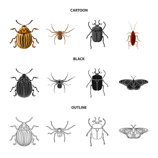 곤충과 비행 로그인의 벡터 디자인입니다. 주식에 대 한 곤충 및 요소 벡터 아이콘 세트. — 스톡 벡터