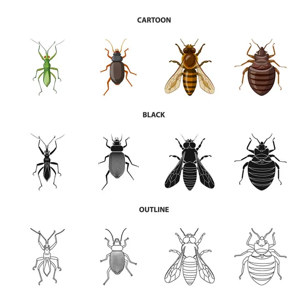 곤충 및 비행 상징의 고립 된 개체입니다. 곤충 및 요소 주식 벡터 일러스트 레이 션의 설정. — 스톡 벡터