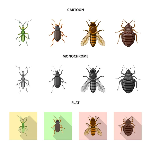 곤충 및 비행 상징의 벡터 디자인입니다. 주식에 대 한 곤충 및 요소 벡터 아이콘 세트. — 스톡 벡터