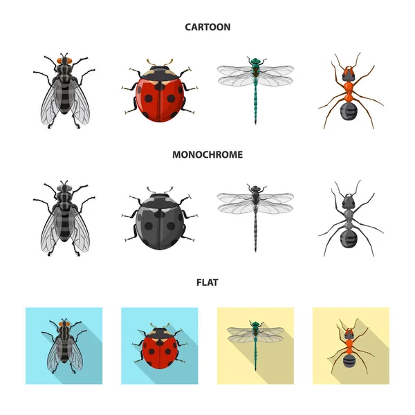 Vektorillustration des Insekten- und Fliegenlogos. Insekten- und Elementaktivvektorillustration. — Stockvektor