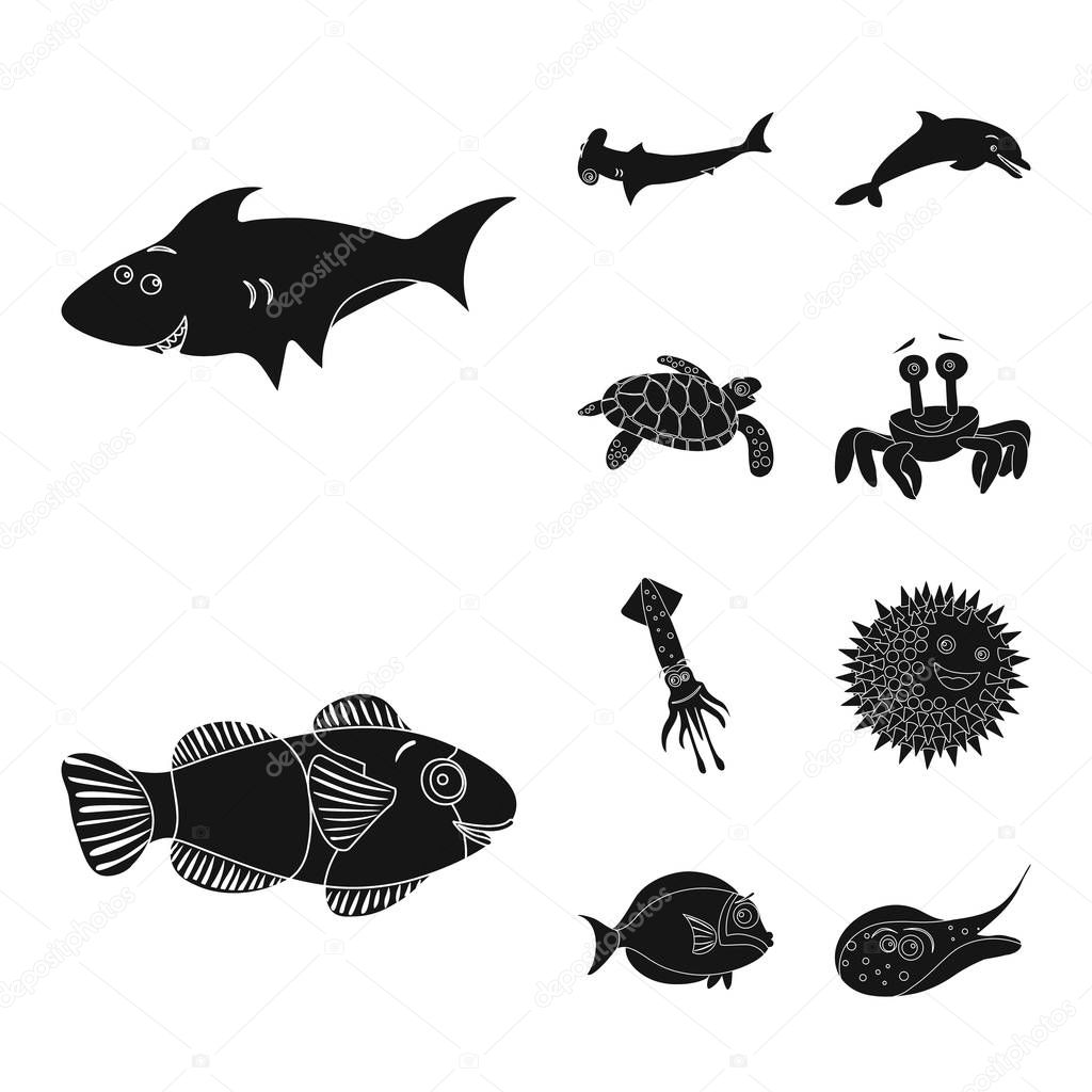 Vector illustration of sea and animal logo. Set of sea and marine stock symbol for web.
