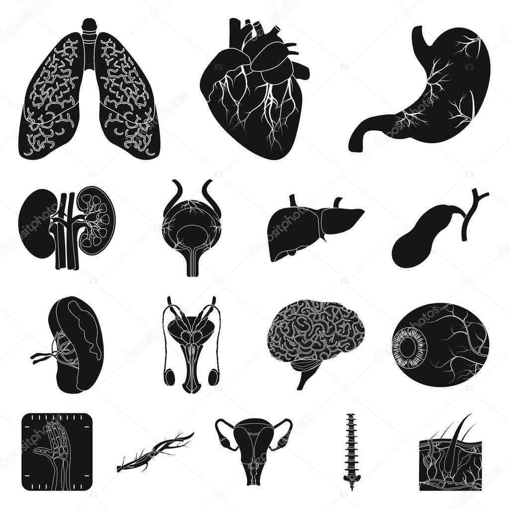 Isolated object of body and human symbol. Collection of body and medical stock symbol for web.