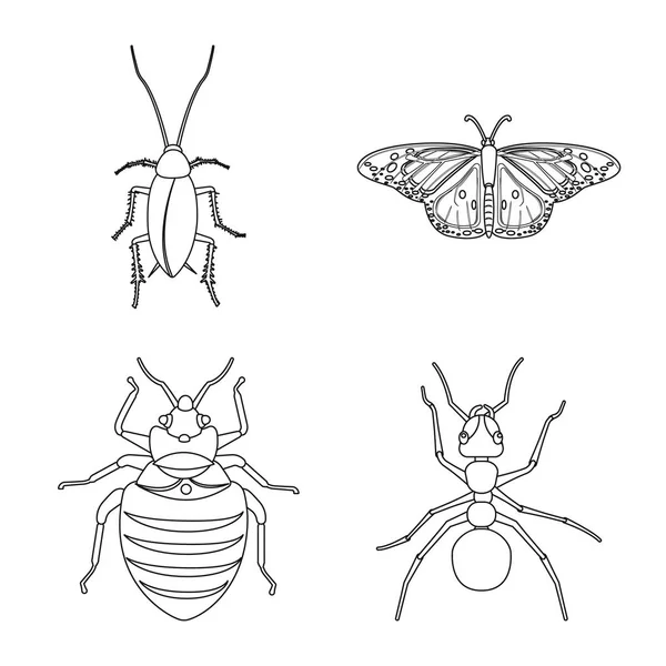 Vektorillustration von Insekten- und Fliegensymbol. Set von Insekten- und Elementvektorsymbolen für Aktien. — Stockvektor