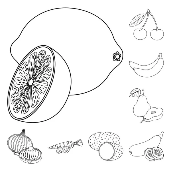 Projeto vetorial de vegetal e símbolo de fruto. Conjunto de símbolo de estoque vegetal e vegetariano para web . — Vetor de Stock