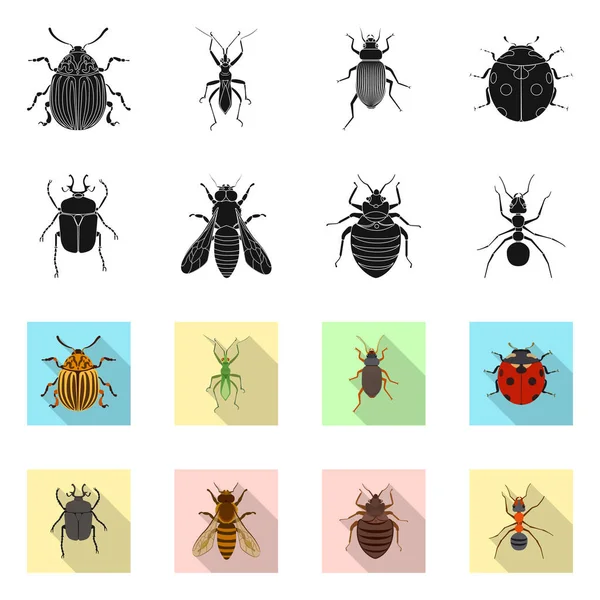 Isolated Object Insect Fly Icon Set Insect Element Stock Vector — Stock Vector