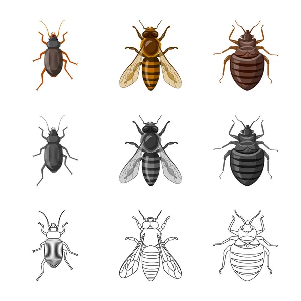 Векторная иллюстрация значка насекомого и мухи. Набор векторных иллюстраций насекомых и элементов . — стоковый вектор