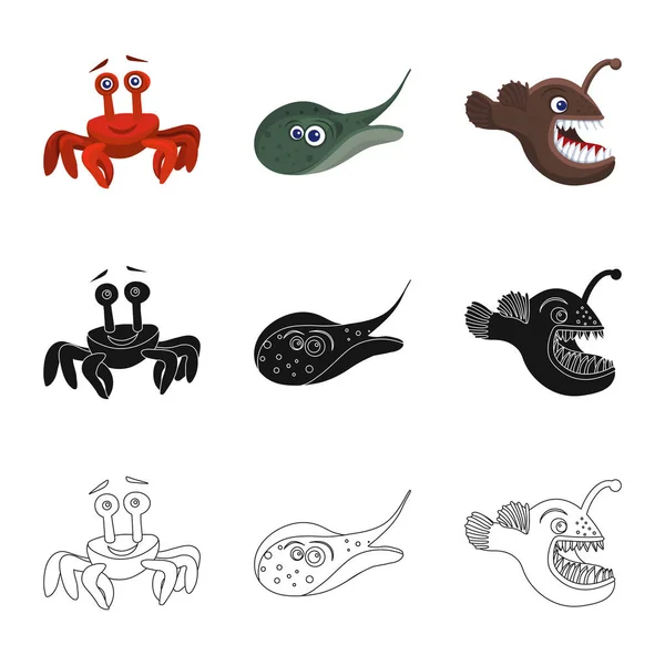 Ilustración vectorial del símbolo marino y animal. Colección de mar y vector marino icono para stock . — Vector de stock