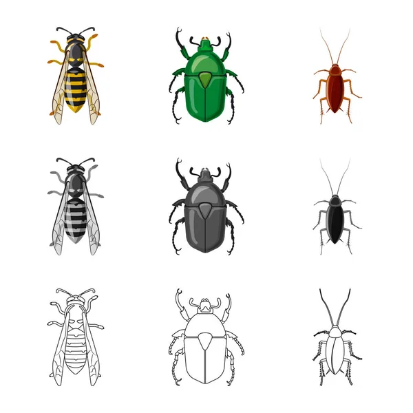 Objeto aislado del logotipo de insectos y moscas. Colección de insectos y vector de stock de elementos ilustración . — Archivo Imágenes Vectoriales