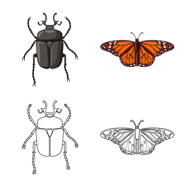 Векторная конструкция иконки насекомого и мухи. Набор символов запаса насекомых и элементов для паутины . — стоковый вектор