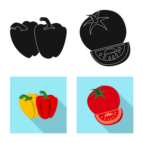 Design vettoriale dell'icona di frutta e verdura. Serie di illustrazione vettoriale di brodo vegetale e vegetariano . — Vettoriale Stock