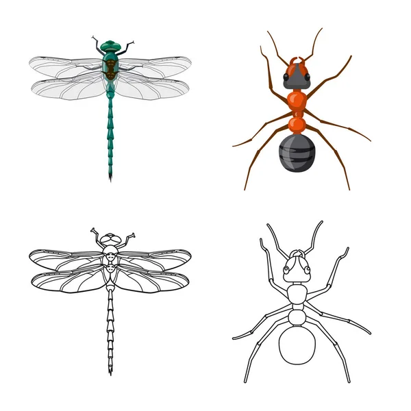 Diseño vectorial del signo de insectos y moscas. Colección de insectos y vector de stock de elementos ilustración . — Archivo Imágenes Vectoriales