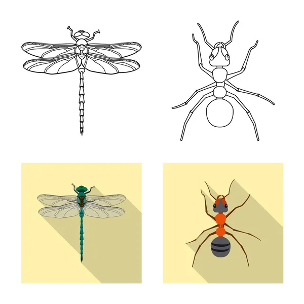 Isoliertes Insekten- und Fliegensymbol. Sammlung von Insekten- und Elementaktivvektordarstellungen. — Stockvektor