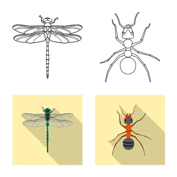 Objet isolé d'insecte et icône de mouche. Collecte d'insectes et d'éléments illustration vectorielle de stock . — Image vectorielle