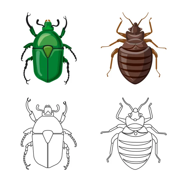 Oggetto isolato di insetto e simbolo della mosca. Serie di illustrazioni vettoriali di insetti ed elementi . — Vettoriale Stock